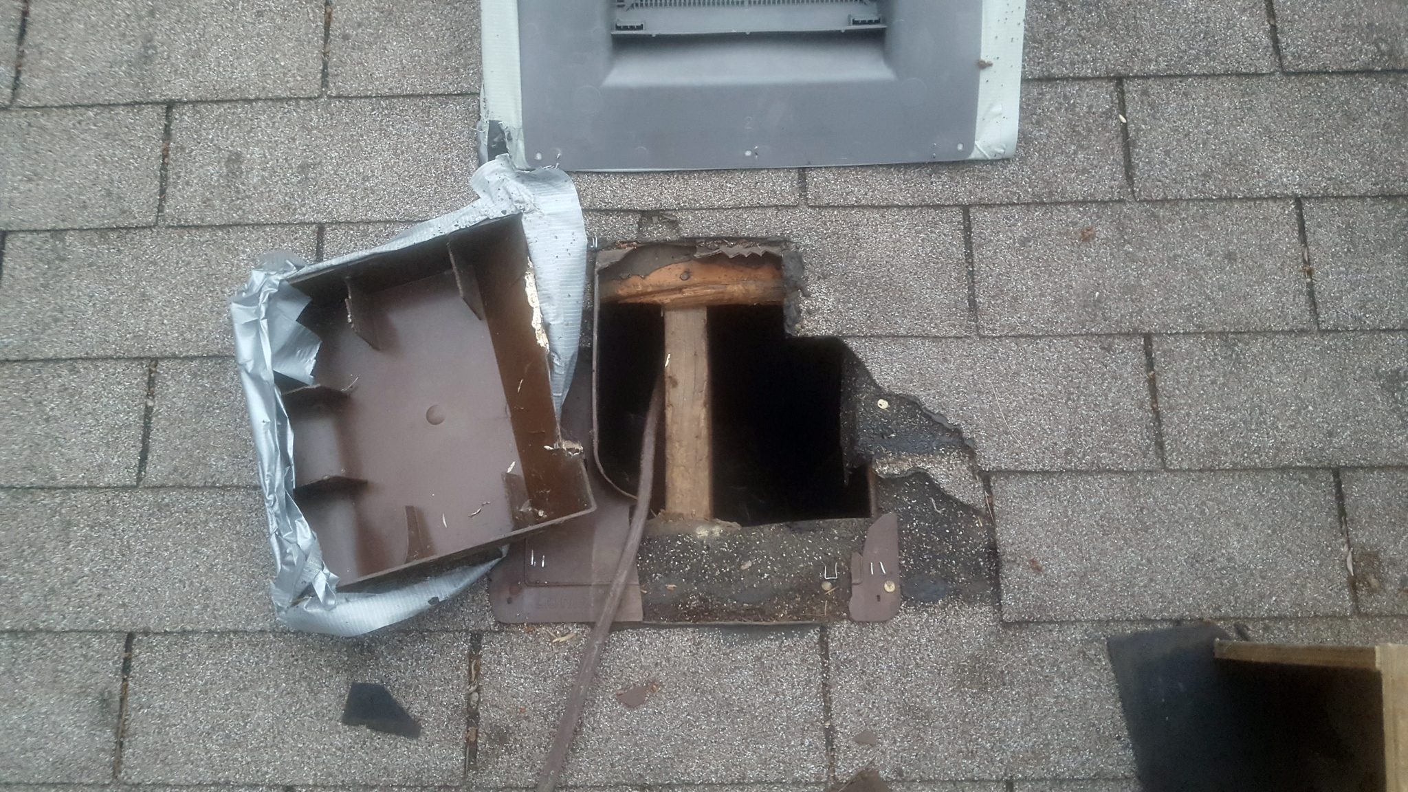 Iowa Wildlife Control » Raccoon Damage to Homes